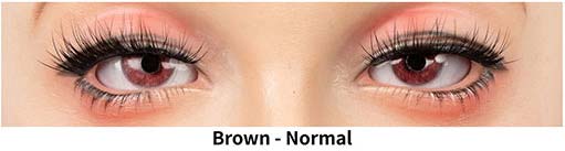 Brown Normal / M