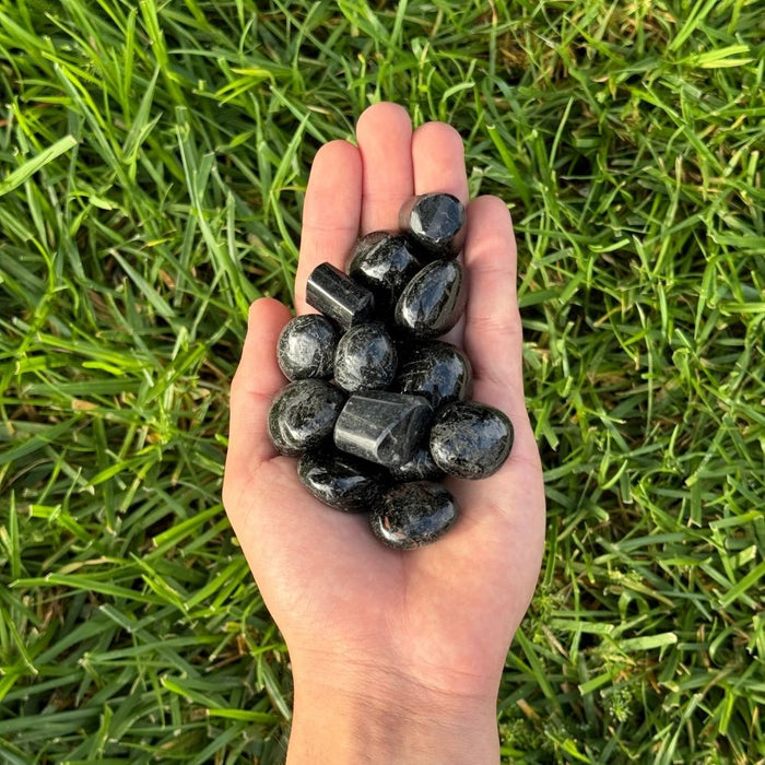 Black Tourmaline - Tumbled
