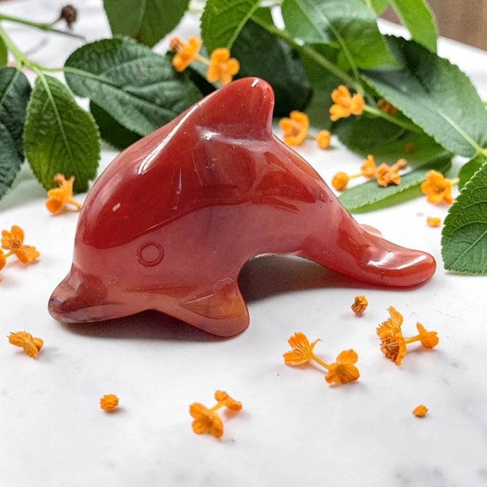Carnelian dolphin-shaped crystal on a white surface with green leaves and orange flowers.