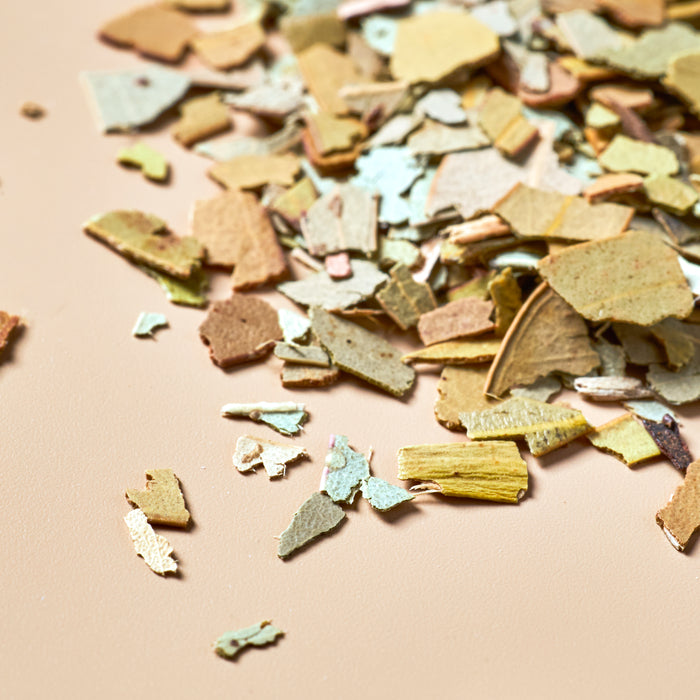 Eucalyptus Leaf - Botanical - product detail