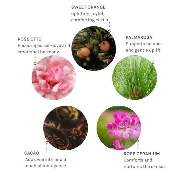 Evolve Wild Divine Body Oil 100 ml, tuotekuva