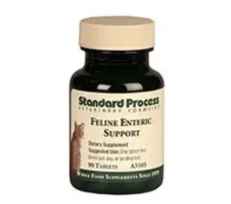 Feline Enteric Support (90 tablets) by Standard Process Veterinary Formulas