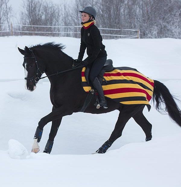 Horseware Rambo Newmarket Fleece Competition Sheet