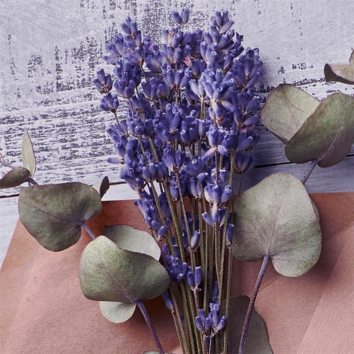Lavender Eucalyptus Fragrance Oil 1284