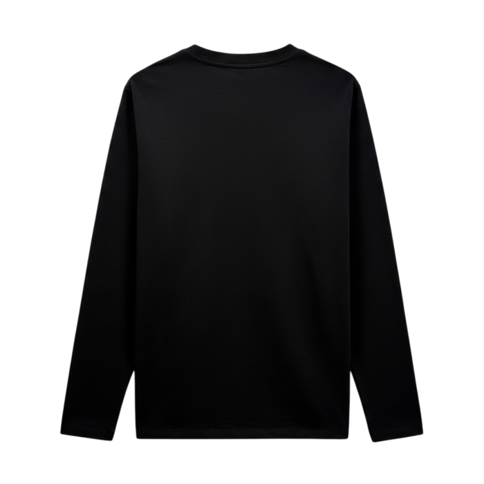 Long Sleeve T-Shirt in Cotton Jersey with Triomphe Embroidery