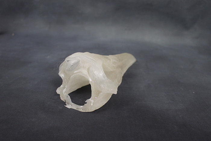 MISCAST CROW SKULL