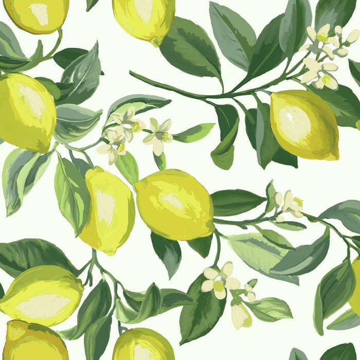 Yellow, White / Roll