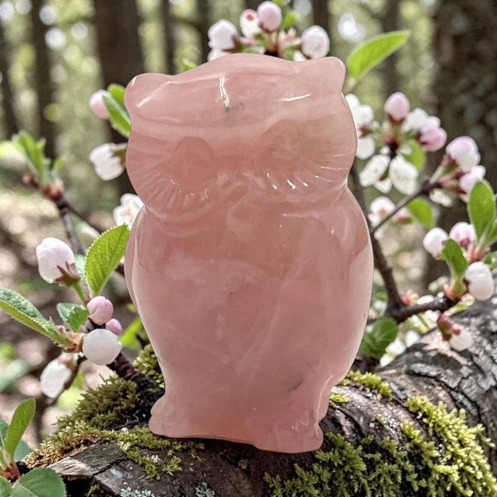 Rose Quartz Crystal Owl