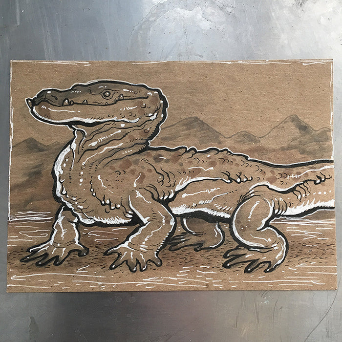 5" x 7" LIZARD ILLUSTRATIONS