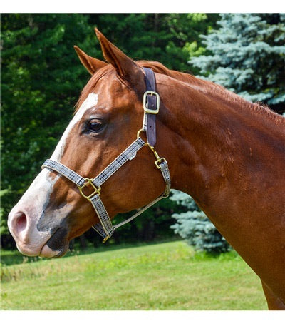 5/A Baker Breakaway Halter