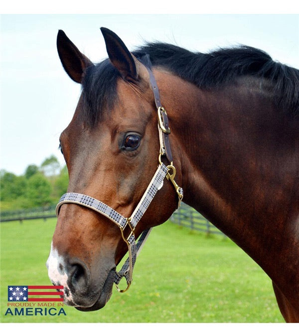5/A Baker Breakaway Halter