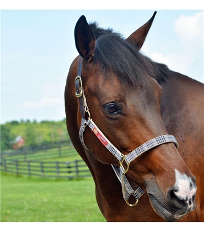 5/A Baker Breakaway Halter