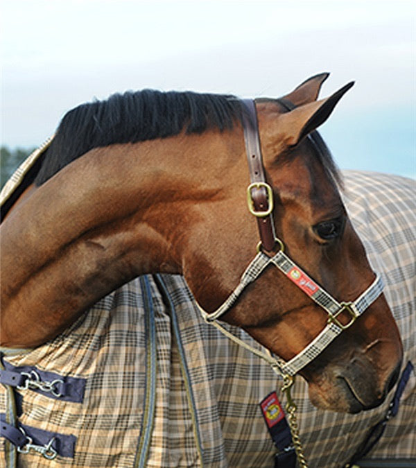 5/A Baker Breakaway Halter