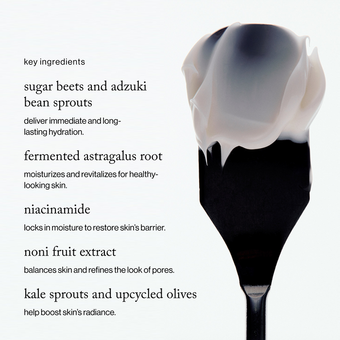 Goop-72-Hour Supercharged Hydrating Water-Cream-Skincare-72hrwatercream_imgCarousel_ingredients-The Detox Market |