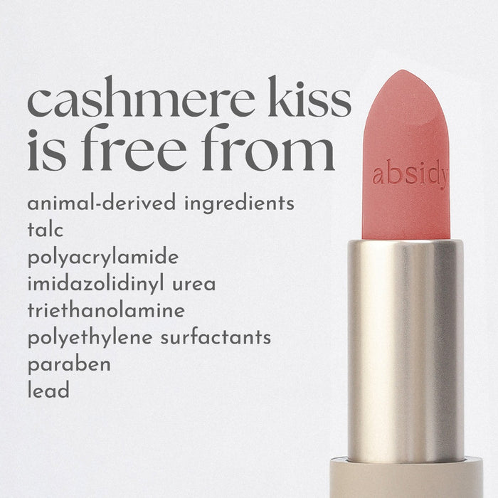 Absidy Cashmere Kiss Matte Lipstick
