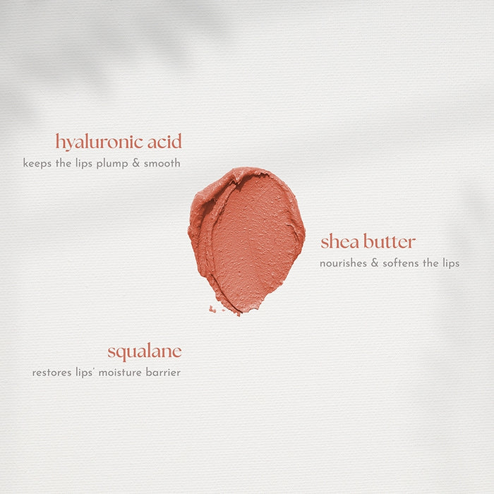 Absidy Cashmere Kiss Matte Lipstick