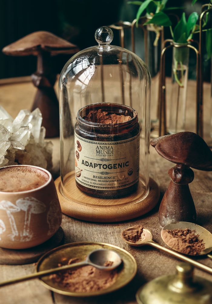 ADAPTOGENIC Powder | Organic, 7 Medicinal Mushrooms + Cacao