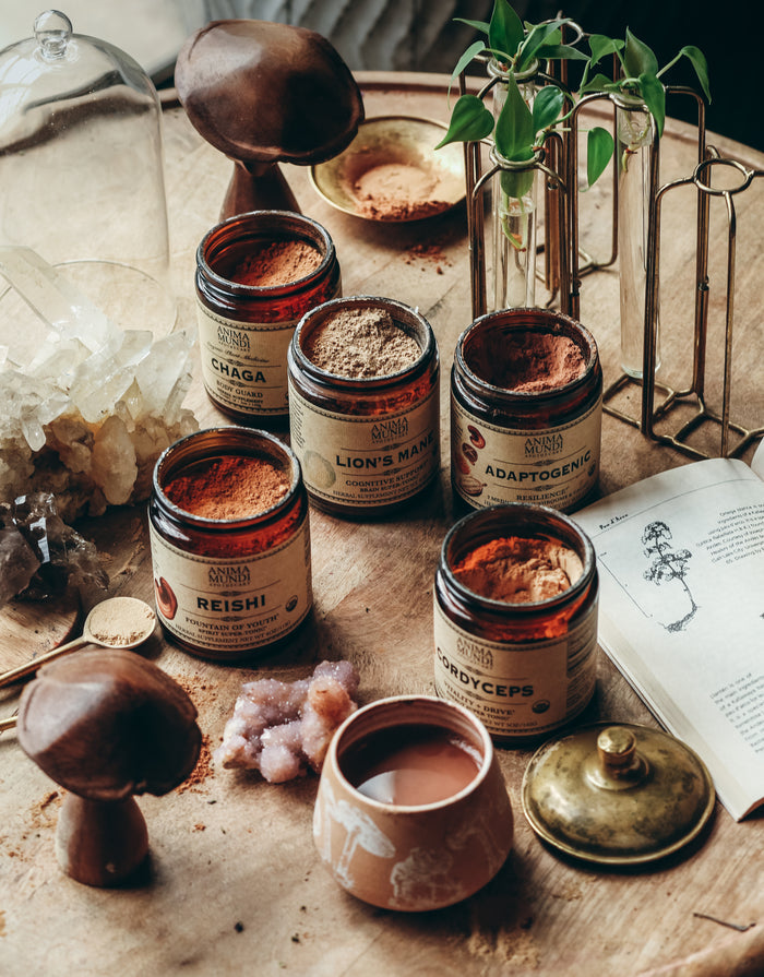 ADAPTOGENIC Powder | Organic, 7 Medicinal Mushrooms + Cacao