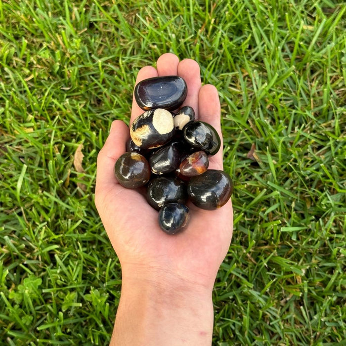 Amber Tumbled