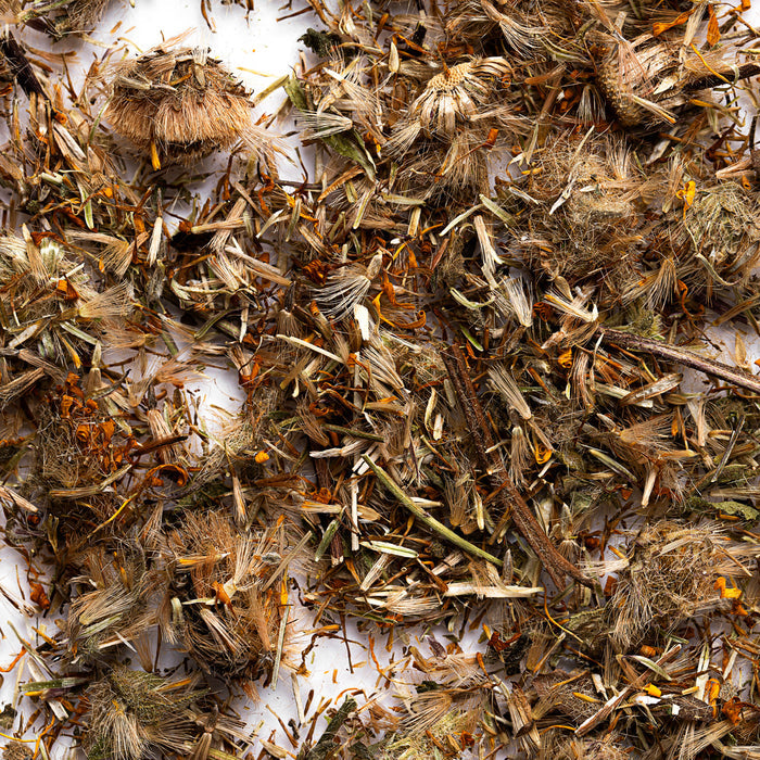 Arnica Flowers