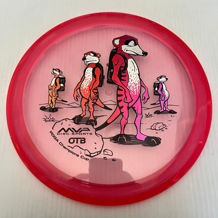 Pink/Pink Rim/158g 21