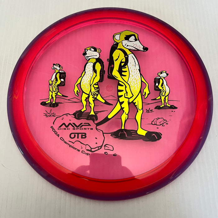 Pink/Purple Rim/158g 6