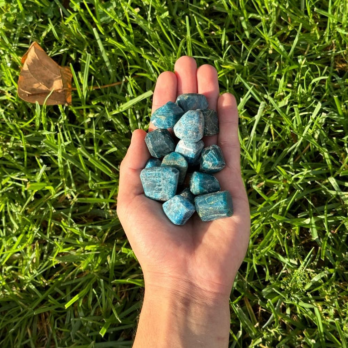 Blue Apatite Tumbled