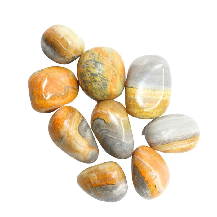 Bumble Bee Jasper Tumbled