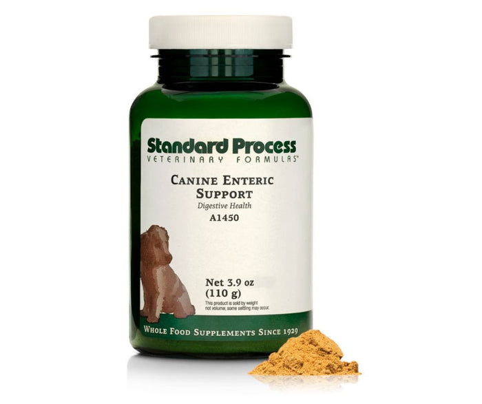 Canine Enteric Support (110 g) by Standard Process Veterinary Formulas