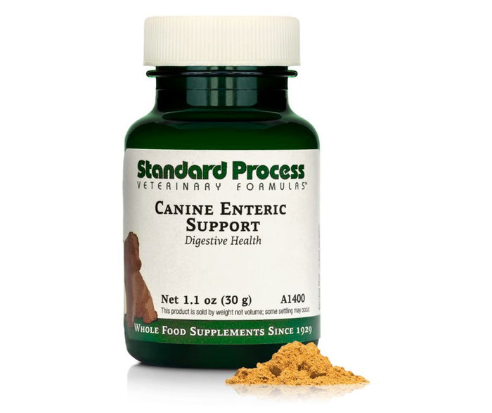 Canine Enteric Support (30 g) by Standard Process Veterinary Formulas