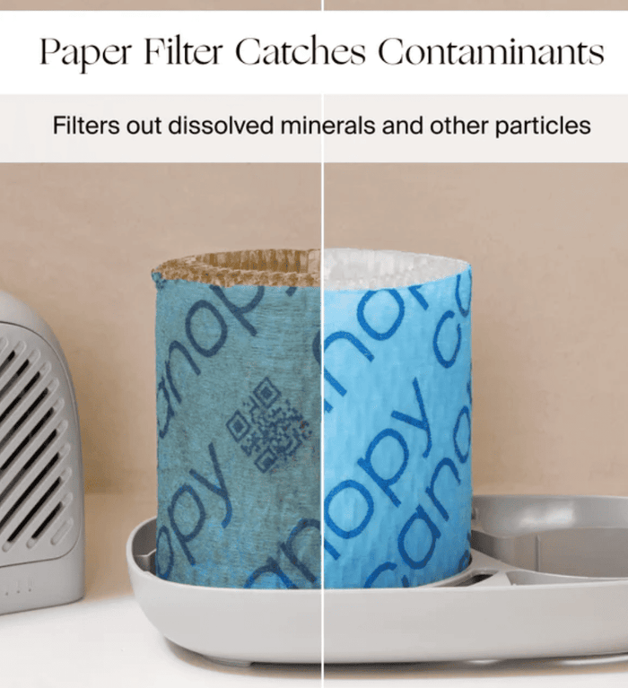 Canopy Bedside Humidifier 2.0 Starter Set