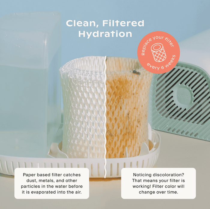 Canopy Large Room Humidifier