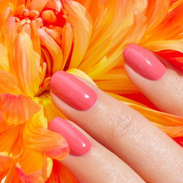 A hand with Capucine by Manucurist, a bright pink polish, rests on vibrant orange and yellow flower petals.