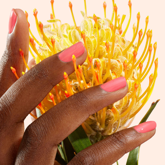 A close-up of a medium brown-skinned hand with glossy coral pink "Capucine" gel polish by Manucurist touches a vibrant yellow-orange exotic flower with long, thin petals.