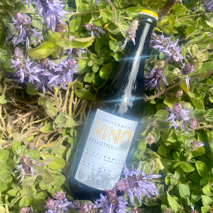 White wine bottle among green leaves and purple flowers, water spray visible