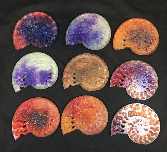 CAST AMMONITE- GLOW IN THE DARK