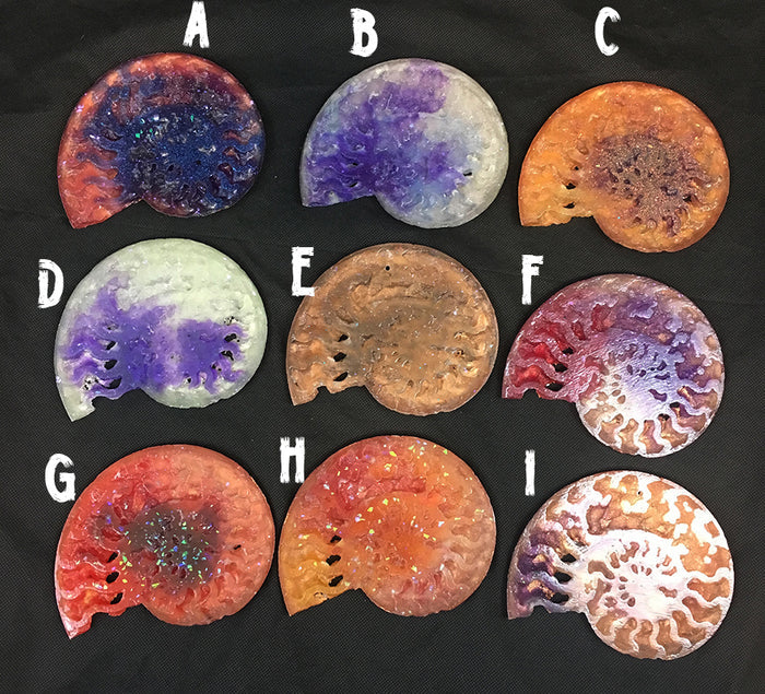 CAST AMMONITE- GLOW IN THE DARK