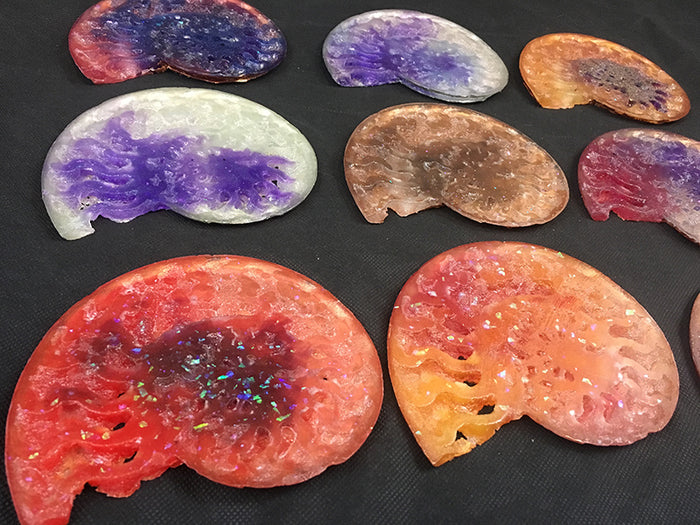 CAST AMMONITE- GLOW IN THE DARK