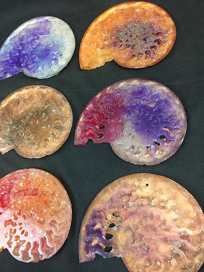 CAST AMMONITE- GLOW IN THE DARK