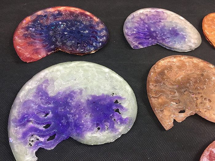 CAST AMMONITE- GLOW IN THE DARK
