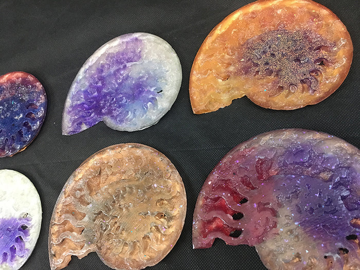 CAST AMMONITE- GLOW IN THE DARK