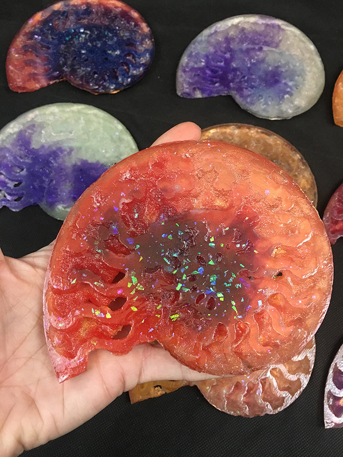 CAST AMMONITE- GLOW IN THE DARK