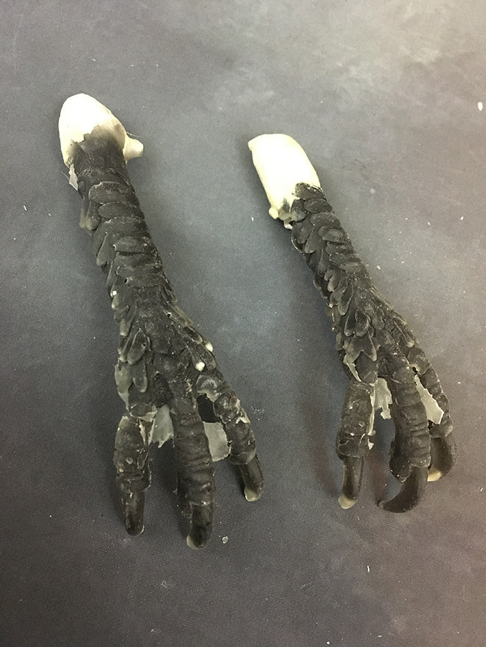 CAST DOLL PART KIT- BIRD MONSTER PAWS