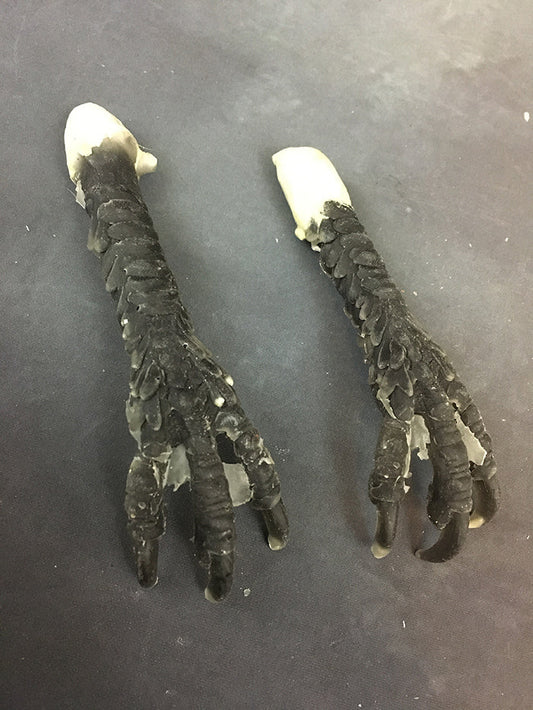 CAST DOLL PART KIT- BIRD MONSTER PAWS
