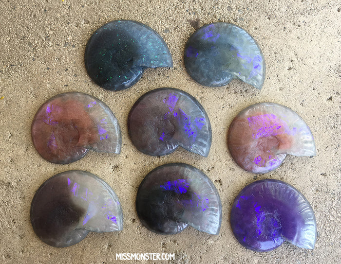 CAST URETHANE GLOW IN THE DARK AMMONITE