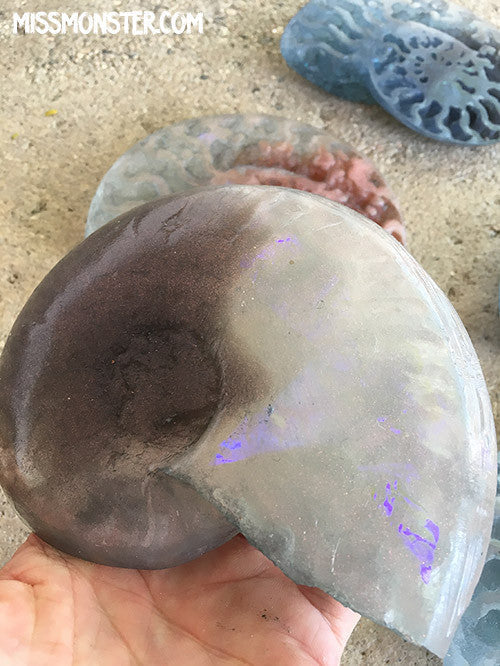 CAST URETHANE GLOW IN THE DARK AMMONITE