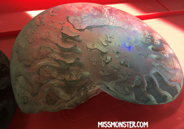 CAST URETHANE GLOW IN THE DARK AMMONITE