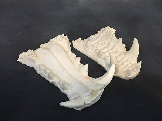CAST URETHANE JAW SET