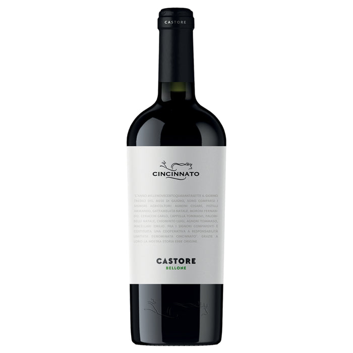 Wine bottle with “Cincinnato” and “Castore Bellone” label, dark glass, black cap