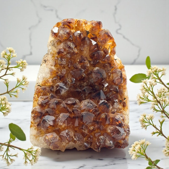 Citrine Geode - 2.9 LBS